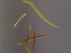 PP加工・エンボス加工・UV加工・箔押し他